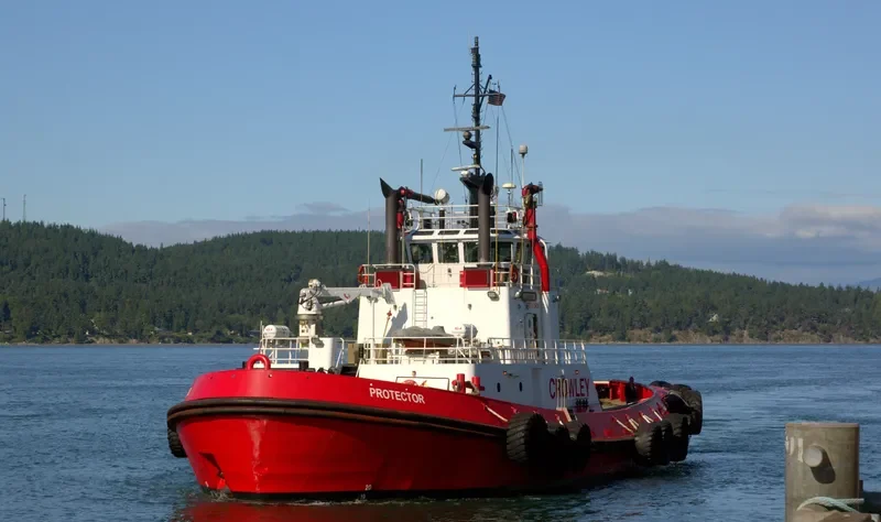 PROTECTOR General Cargo IMO 9139828 photo 8