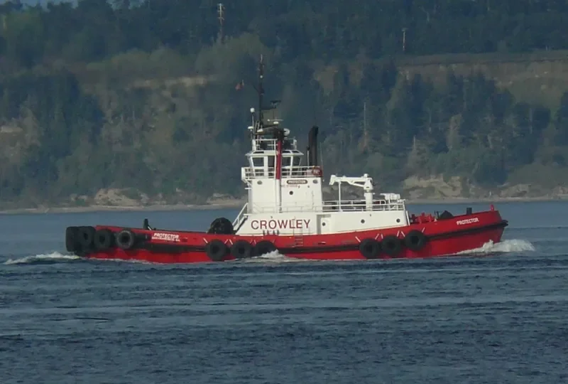 PROTECTOR General Cargo IMO 9139828 photo 9