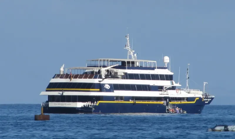 NATIONAL GEOGRAPHIC ISLANDER Passenger Ship IMO 9139878 photo 3