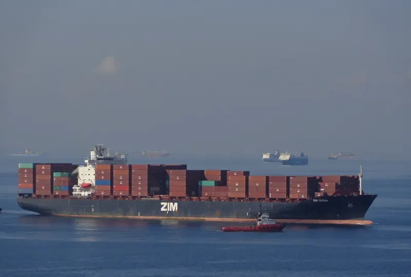 ZIM IBERIA Container Ship IMO 9139919 photo 4