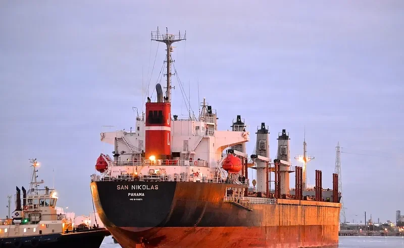 OCEAN WIT Bulk Carrier IMO 9139971