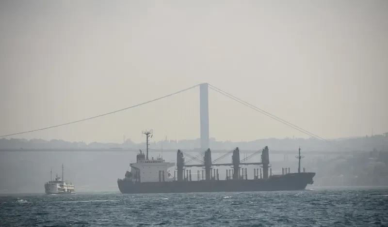 OCEAN WIT Bulk Carrier IMO 9139971 photo 2