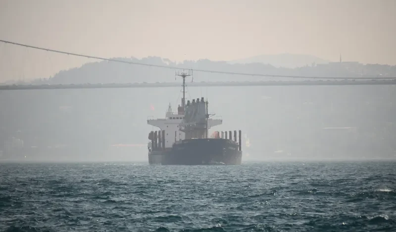 OCEAN WIT Bulk Carrier IMO 9139971 photo 3