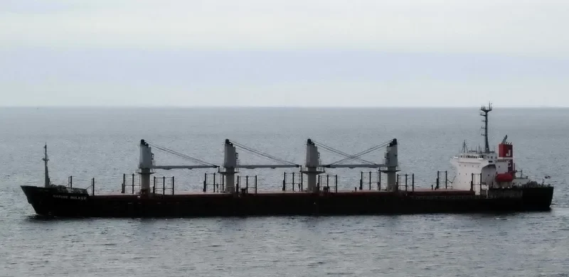 OCEAN WIT Bulk Carrier IMO 9139971 photo 7