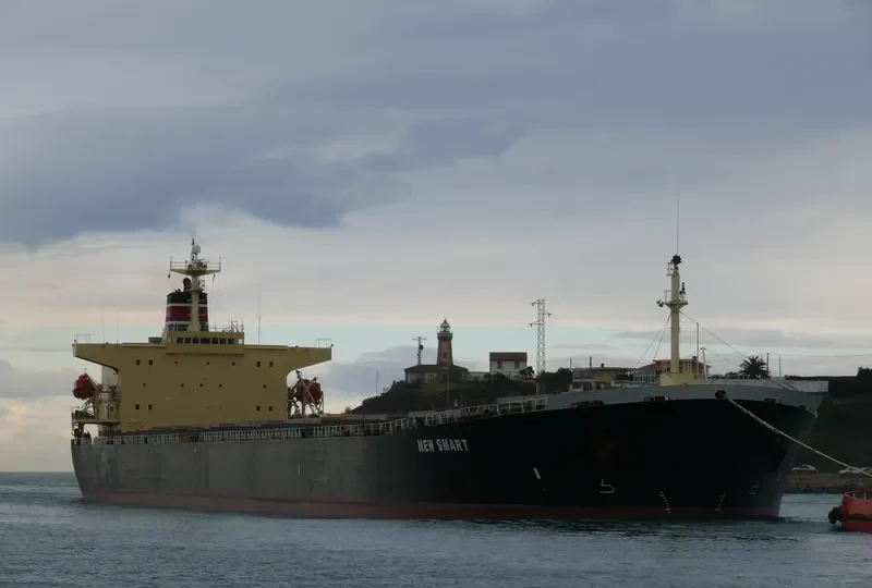 NEW SMART Bulk Carrier IMO 9139983 photo 3