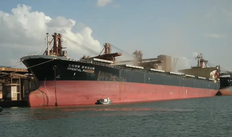NEW SMART Bulk Carrier IMO 9139983 photo 5