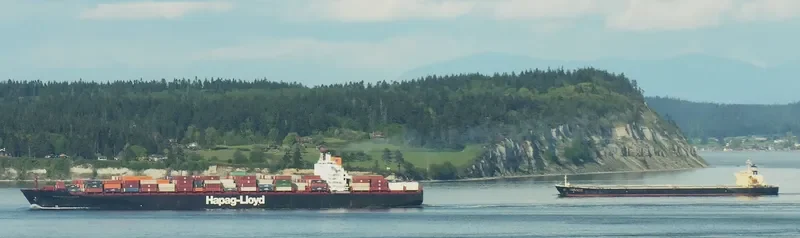 NEW SMART Bulk Carrier IMO 9139983 photo 7