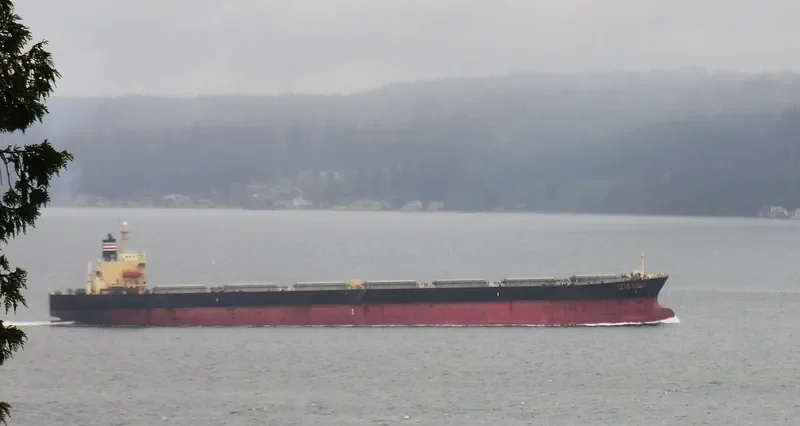 NEW SMART Bulk Carrier IMO 9139983 photo 10