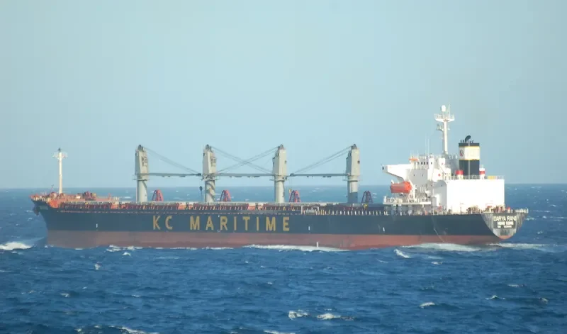 GRAND PROGRESS Bulk Carrier IMO 9139995 photo 5