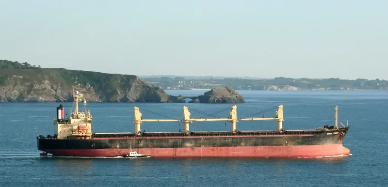 SHANTHI INDAH Bulk Carrier IMO 9140009 photo 8