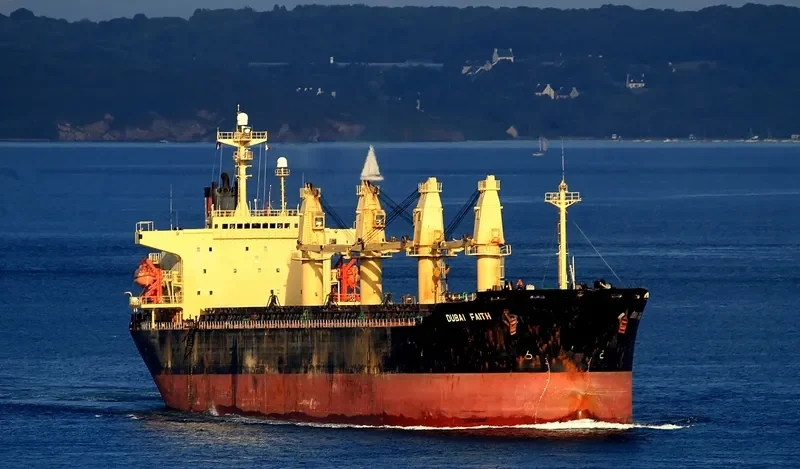 SHANTHI INDAH Bulk Carrier IMO 9140009 photo 9