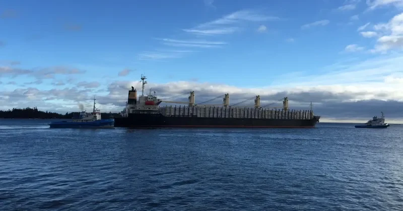 LUCKY STAR Bulk Carrier IMO 9140047 photo 3