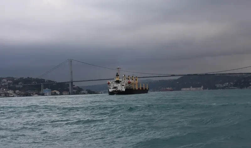 LUCKY STAR Bulk Carrier IMO 9140047 photo 8