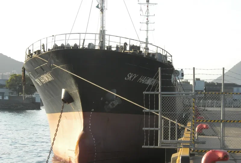 SKY HARMONY General Cargo IMO 9140190 photo 5
