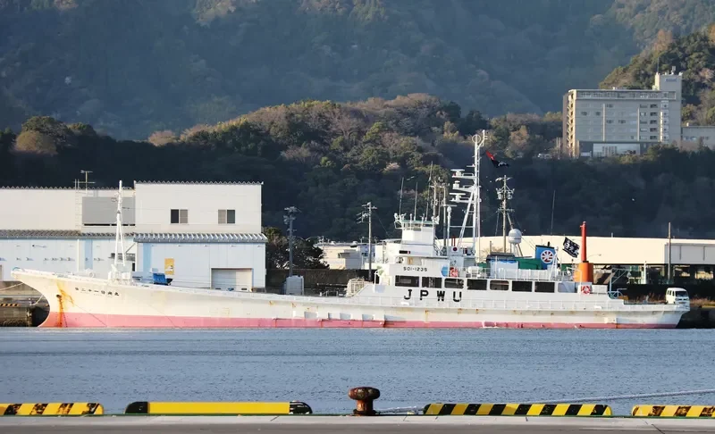 NIKKO MARU NO.21 General Cargo IMO 9140217 photo 8