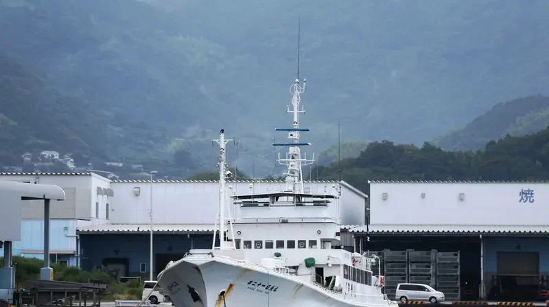 NIKKO MARU NO.21 General Cargo IMO 9140217 photo 10