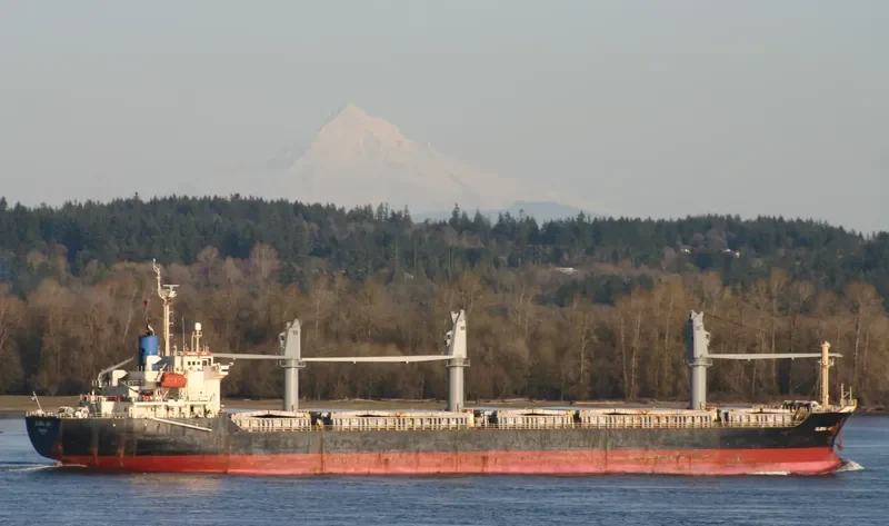 TAN BINH 45 General Cargo IMO 9140229
