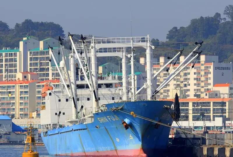 SHIN FUJI General Cargo IMO 9140281