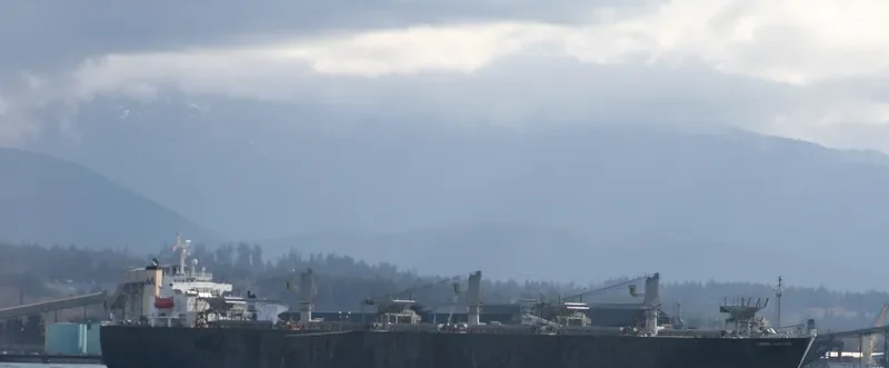 SIERRA GUARDIAN Bulk Carrier IMO 9140346 photo 3