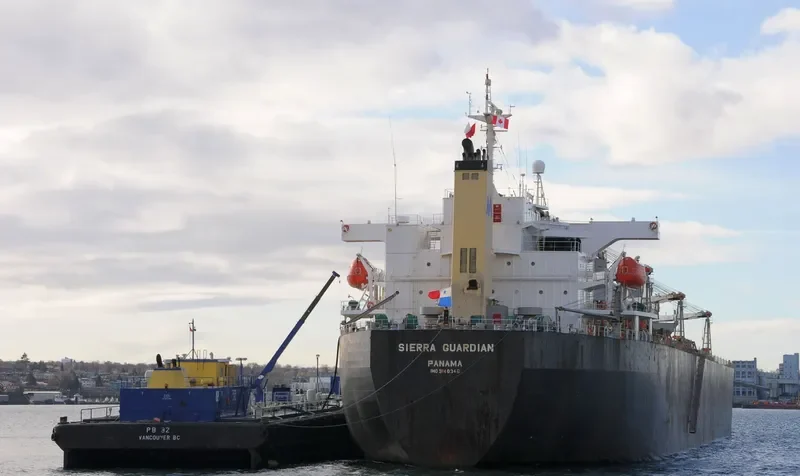 SIERRA GUARDIAN Bulk Carrier IMO 9140346 photo 4
