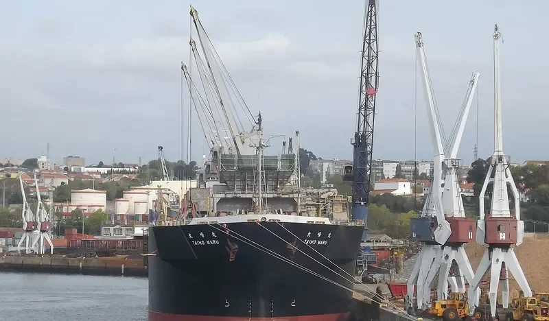 TAIHO MARU Bulk Carrier IMO 9140358 photo 5