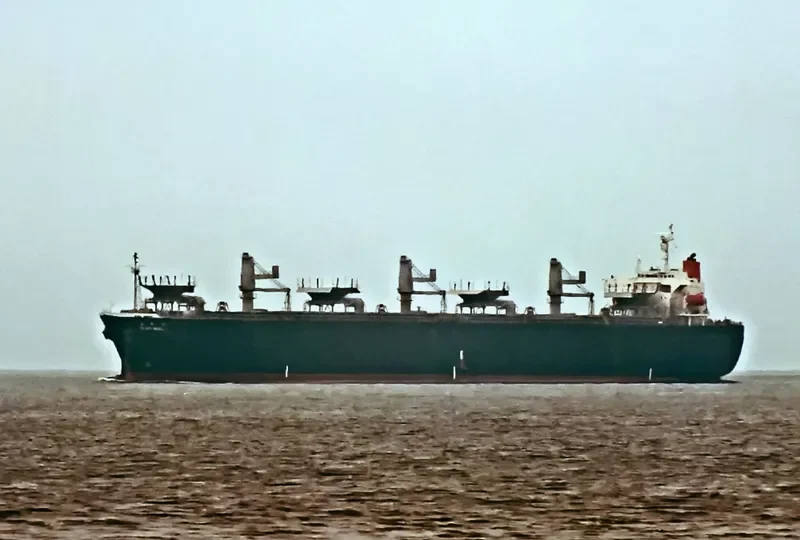 TAIHO MARU Bulk Carrier IMO 9140358 photo 8