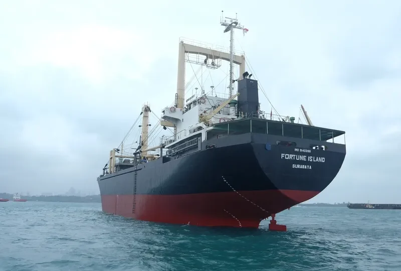 FORTUNE ISLAND General Cargo IMO 9140396
