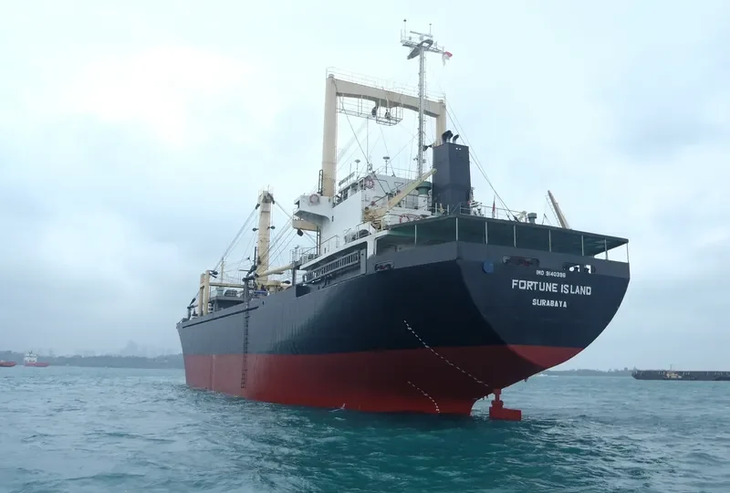 FORTUNE ISLAND General Cargo IMO 9140396 photo 2