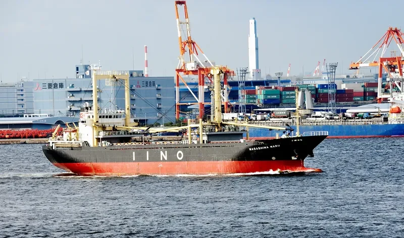 FORTUNE ISLAND General Cargo IMO 9140396 photo 4