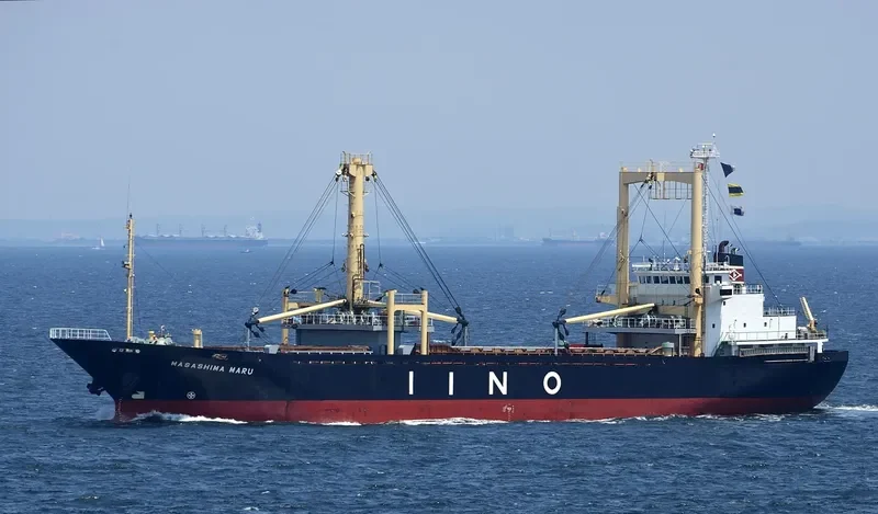 FORTUNE ISLAND General Cargo IMO 9140396 photo 5
