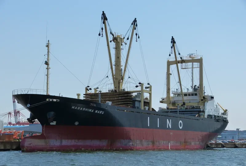 FORTUNE ISLAND General Cargo IMO 9140396 photo 6