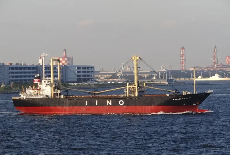 FORTUNE ISLAND General Cargo IMO 9140396 photo 7