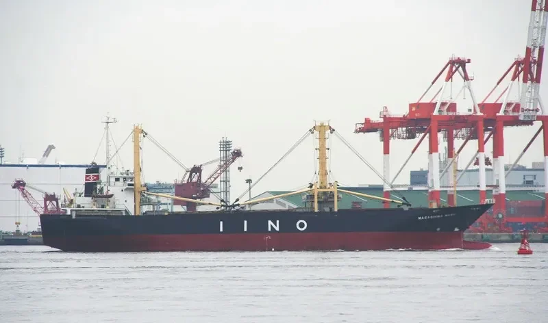 FORTUNE ISLAND General Cargo IMO 9140396 photo 8