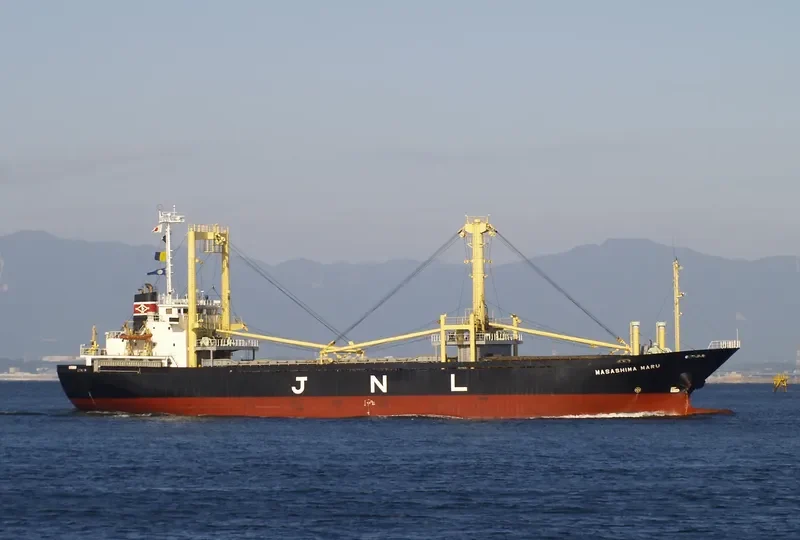 FORTUNE ISLAND General Cargo IMO 9140396 photo 9