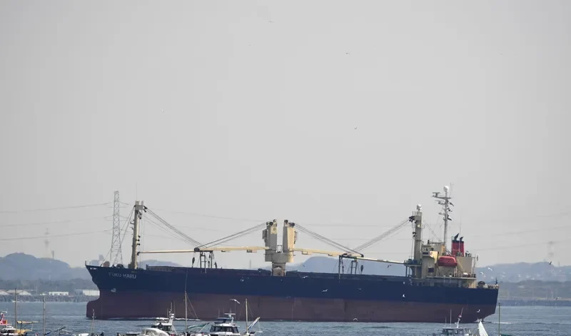FUKU HARU General Cargo IMO 9140437 photo 8