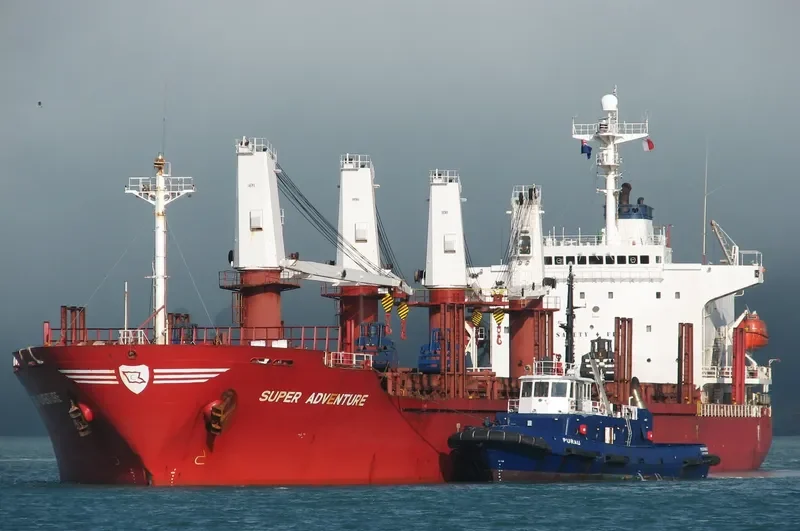 BAOSHAN SUCCESS Bulk Carrier IMO 9140528 photo 7