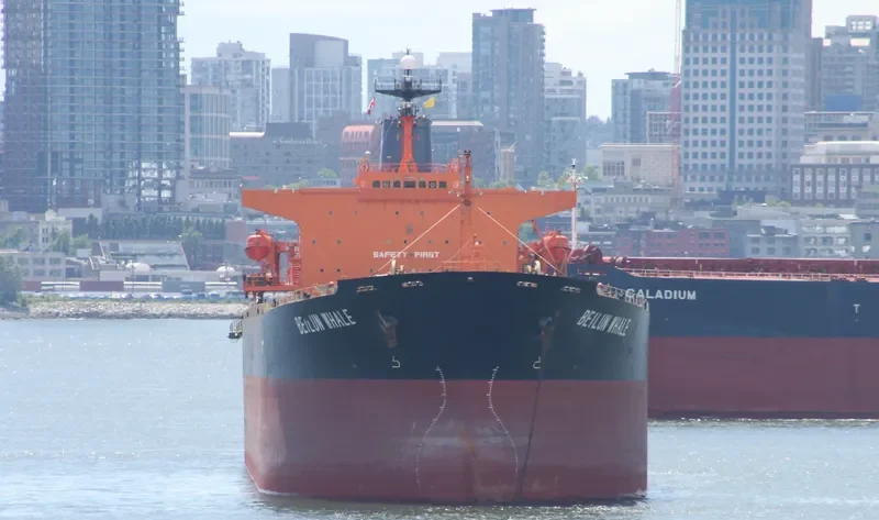 BEI LUN HAI 72 Bulk Carrier IMO 9140542 photo 7