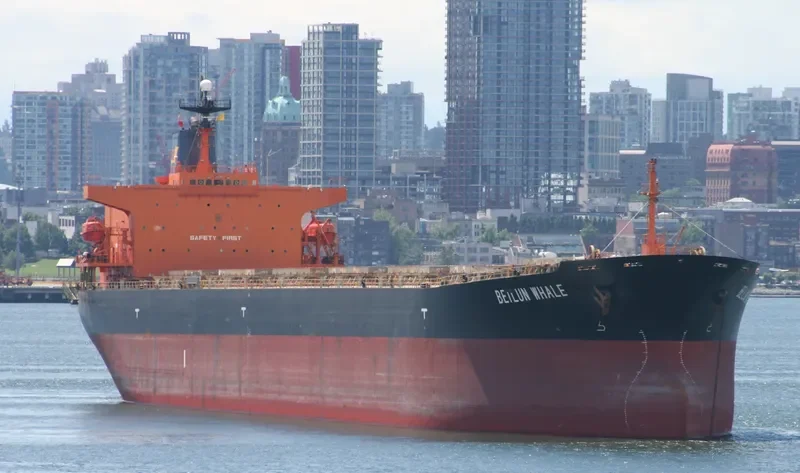 BEI LUN HAI 72 Bulk Carrier IMO 9140542 photo 8