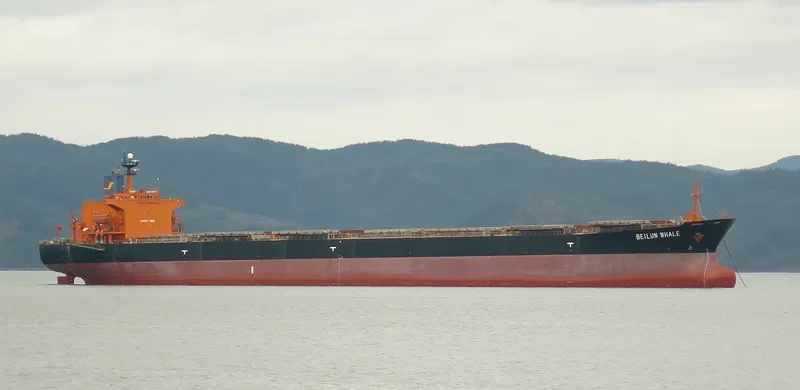 BEI LUN HAI 72 Bulk Carrier IMO 9140542 photo 9