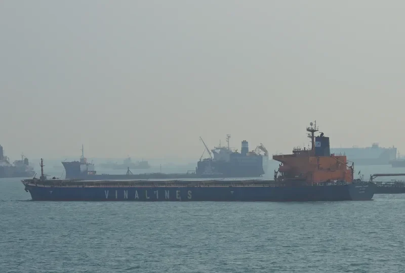 VINALINES TRADER I Bulk Carrier IMO 9140554 photo 2