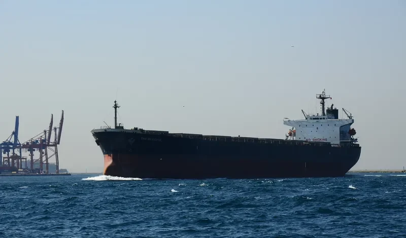 THE MERCIFUL Bulk Carrier IMO 9140578 photo 2