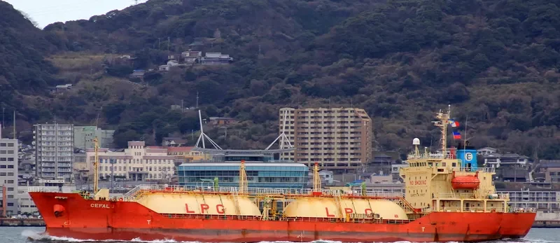 SC DISCOVERY XLVI General Cargo IMO 9140633 photo 3
