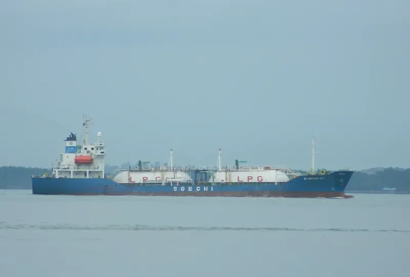 SC DISCOVERY XLVI General Cargo IMO 9140633 photo 7