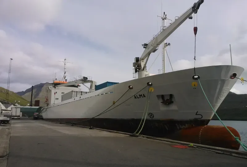 ALMA General Cargo IMO 9140968