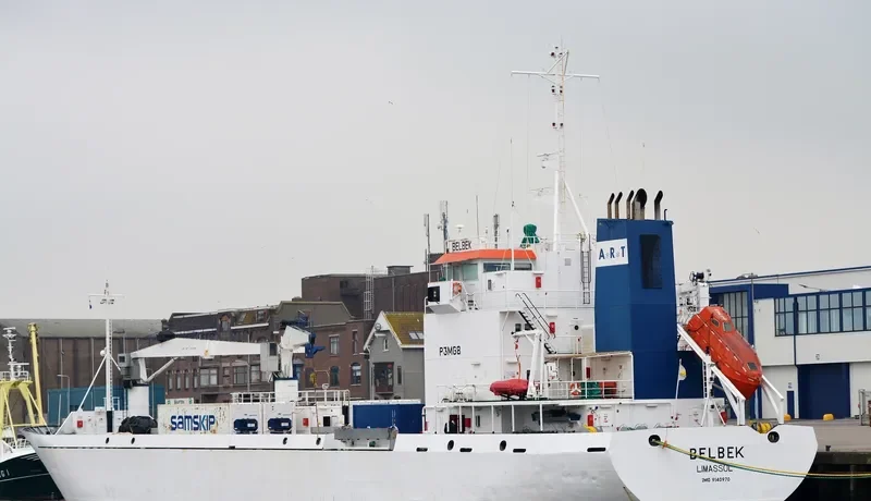 BELBEK General Cargo IMO 9140970 photo 4