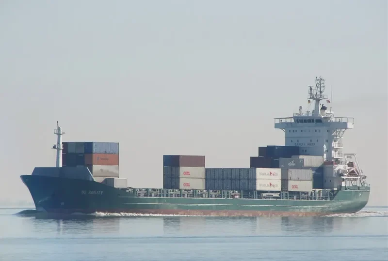 SAN LORENZO RUIZ UNO Container Ship IMO 9141053 photo 2