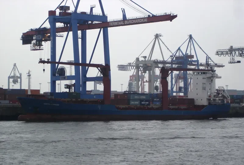 SAN LORENZO RUIZ UNO Container Ship IMO 9141053 photo 5