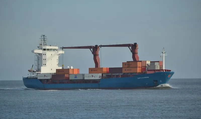 SAN LORENZO RUIZ UNO Container Ship IMO 9141053 photo 7