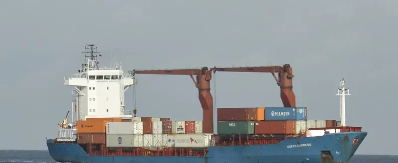 SAN LORENZO RUIZ UNO Container Ship IMO 9141053 photo 8