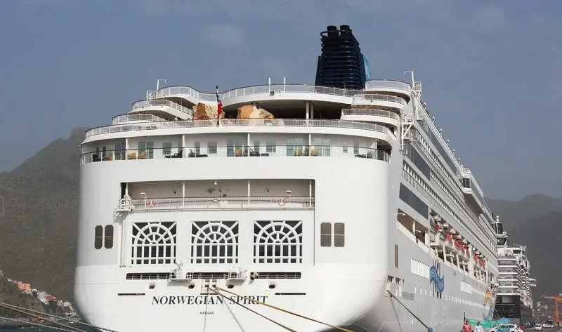NORWEGIAN SPIRIT Passenger Ship IMO 9141065 photo 2
